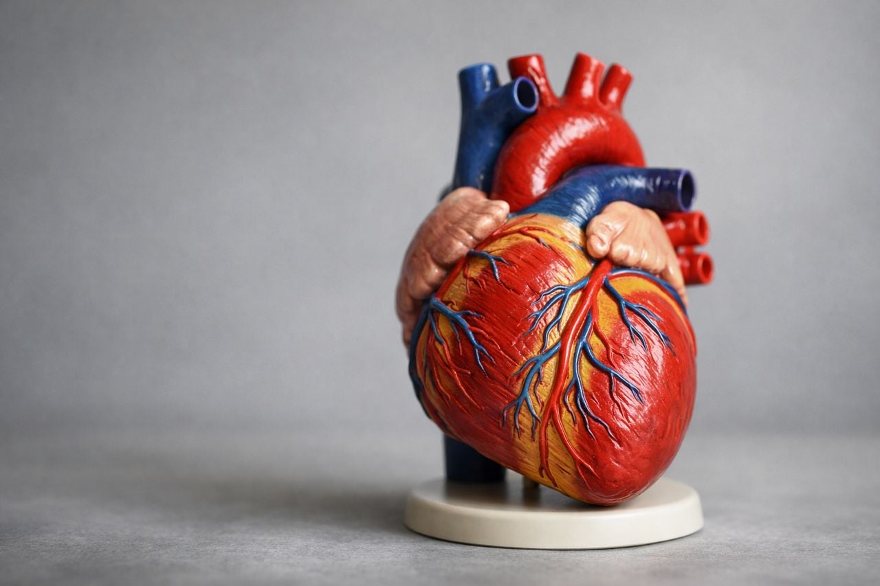 Caldo estremo: 33 diagnosi in aumento &mdash; perch&eacute; i bambini rischiano di pi&ugrave;