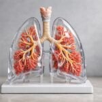 Fumo passivo 2023: 1,66 milioni di morti, e-cig non azzerano il rischio