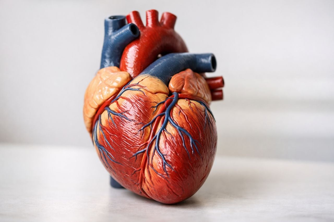 Il nuovo studio SINGLE AF del NEJM ribalta l’uso degli anticoagulanti?