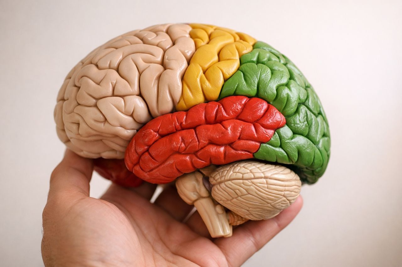 Lo smog può aumentare il rischio di Alzheimer? Cosa dicono gli studi