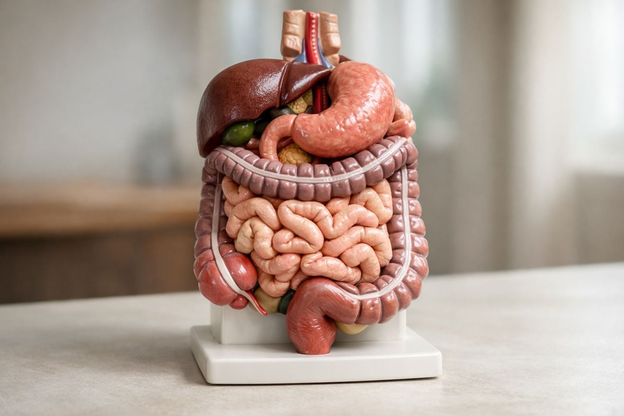 Obesità infantile, stop ai farmaci sotto i 10 anni: cosa prevedono le nuove linee guida OMS