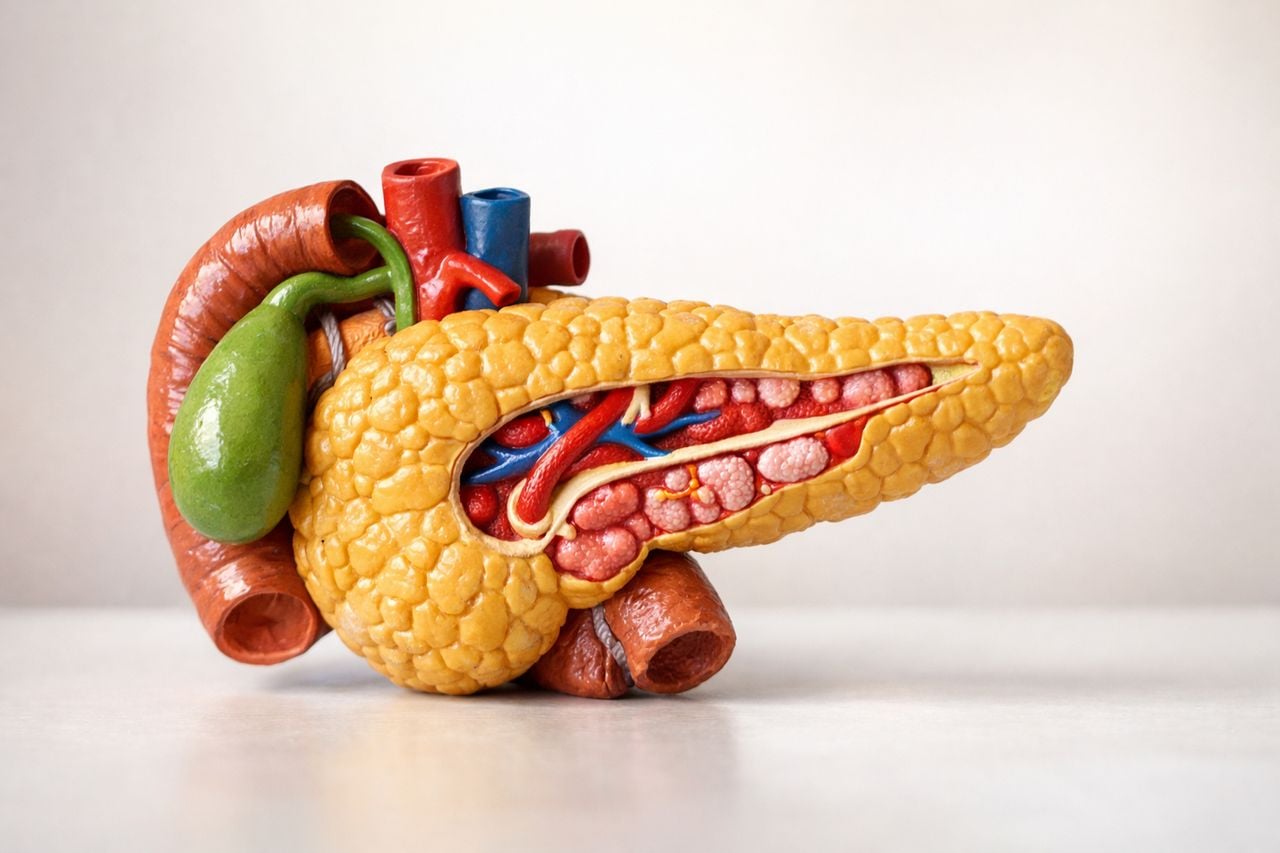 Rasonque, la compressa che raddoppia la sopravvivenza nel pancreas metastatico? Cosa dice davvero l’Ema