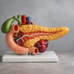 Tumore del pancreas e vaccino anti KRAS: il risultato inatteso di AMPLIFY 7P che molti non leggono bene